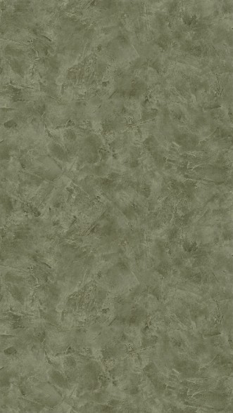 Picture of Patine 2 Uni Kaki - PAE100227750