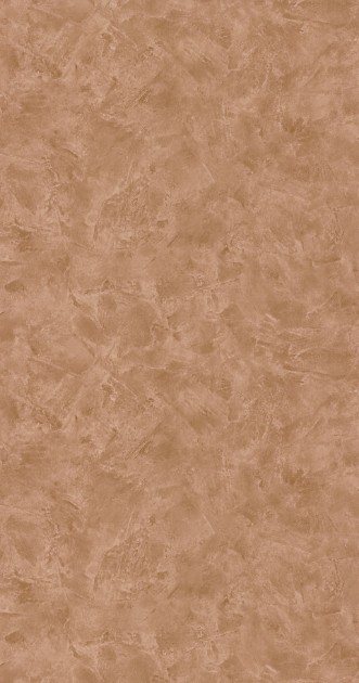 Picture of Patine 2 Uni Noisette - PAE100222477