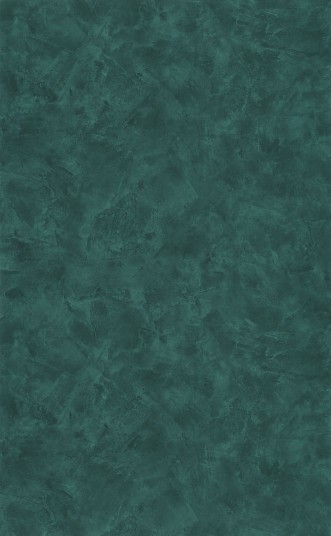 Afbeeldingen van Patine 2 Uni Vert Sapin - PAE100227979