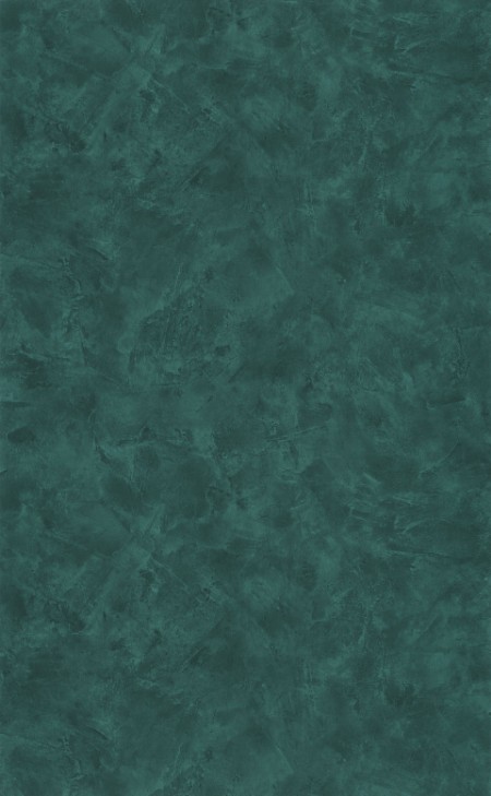 Picture of Patine 2 Uni Vert Sapin - PAE100227979