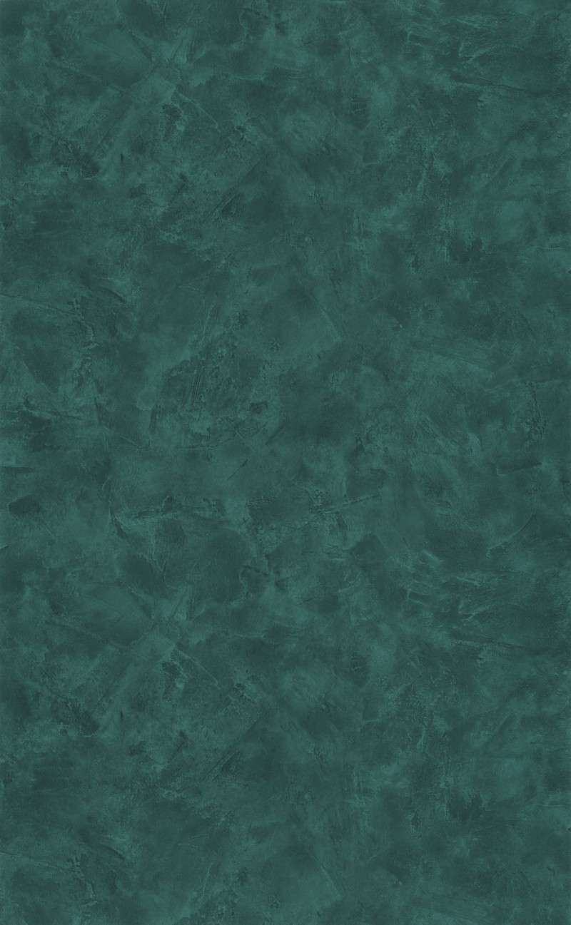 Picture of Patine 2 Uni Vert Sapin - PAE100227979