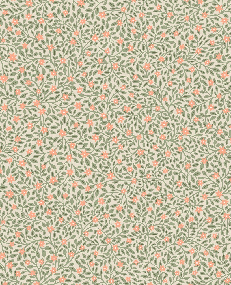 Picture of Posy - 316050