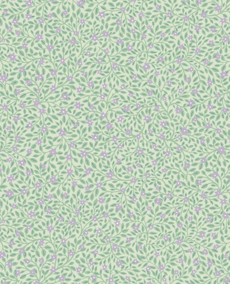 Picture of Posy - 316053