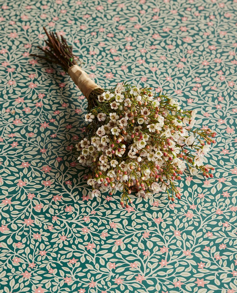 Image de Posy - 316056