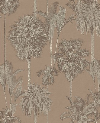 Bild på Oasis - 317323