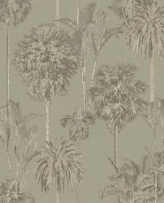 Bild på Oasis - 317324