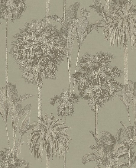 Image de Oasis - 317324