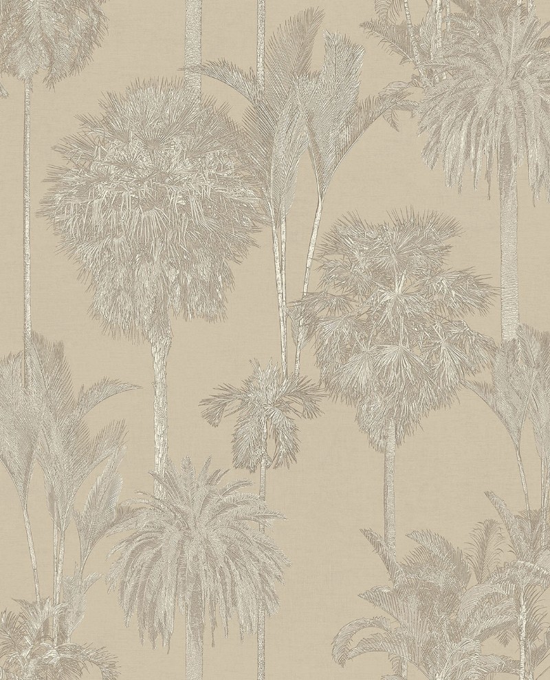 Picture of Oasis - 317325