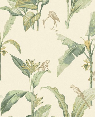 Afbeeldingen van Oasis - 317340