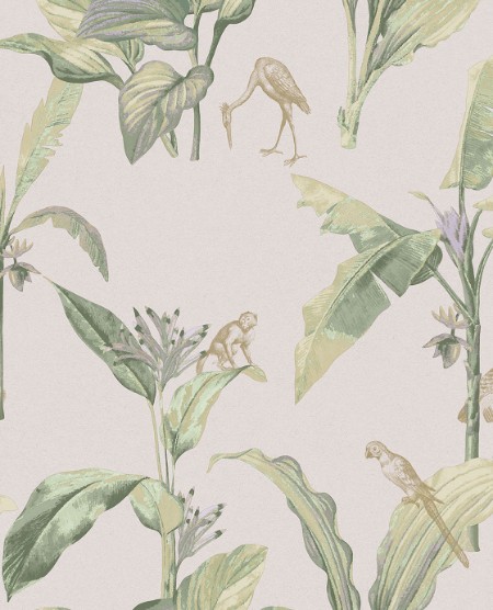 Picture of Oasis - 317342