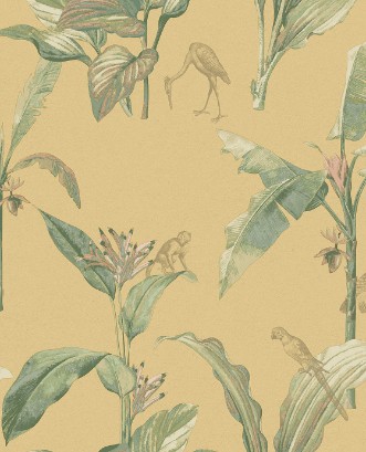 Afbeeldingen van Oasis - 317343