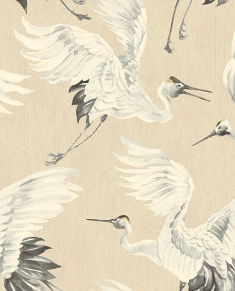 Afbeeldingen van Oasis - 317350