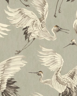 Afbeeldingen van Oasis - 317353