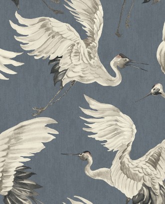 Afbeeldingen van Oasis - 317354