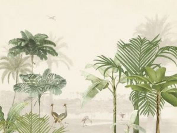 Picture of Oasis - 317401