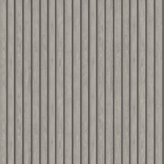 Image de Acacia Grey - 91383