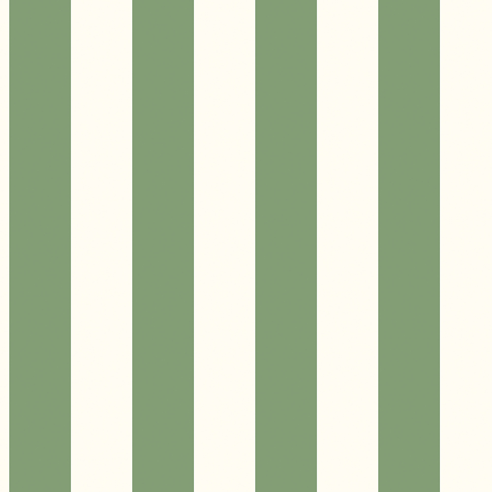 Afbeeldingen van Awning Stripe - G45401
