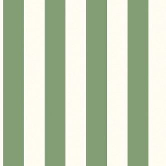 Picture of Awning Stripe - G45401