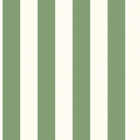 Picture of Awning Stripe - G45401