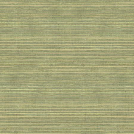 Afbeeldingen van Grasscloth - G45422