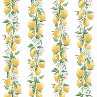Image de Lemon Stripe - G45441