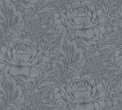 Imagen de Aruba - 38092-4