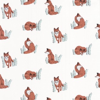 Afbeeldingen van Counting Fox Rose Peche Vert Fond Blanc - PTB101764073