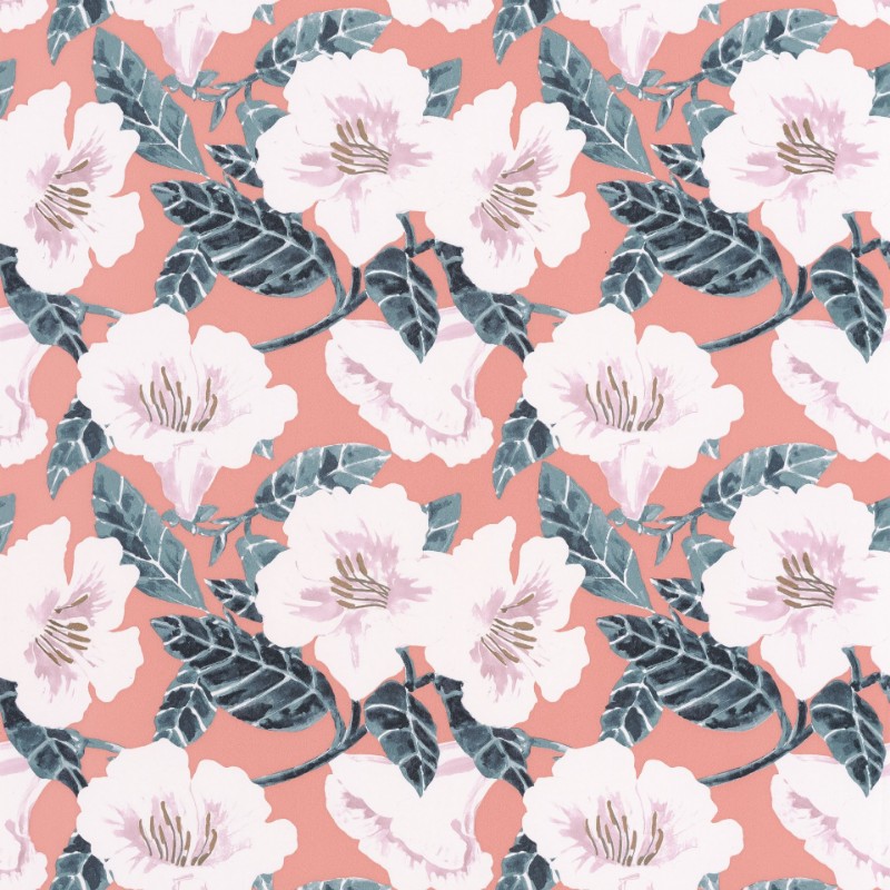 Picture of Ding Ding Dong Rose Peche Cuivre - PTB101794060