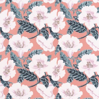 Picture of Ding Ding Dong Rose Peche Cuivre - PTB101794060