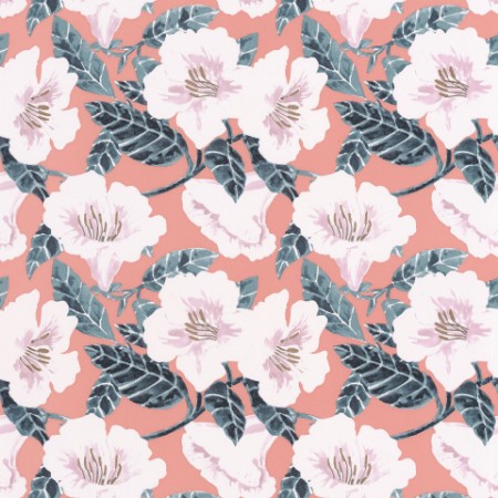 Bild på Ding Ding Dong Rose Peche Cuivre - PTB101794060