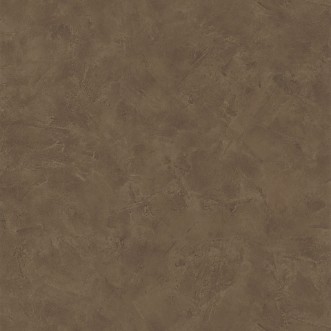 Picture of Patine Uni Marron - PAI100222499