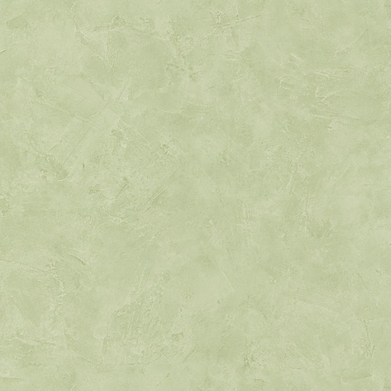 Image de Patine Uni Vert - PAI100227690