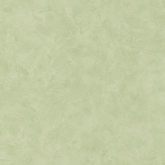 Picture of Patine Uni Vert - PAI100227690