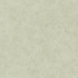 Bild på Patine Uni Vert Lichen Clair - PAI100227440