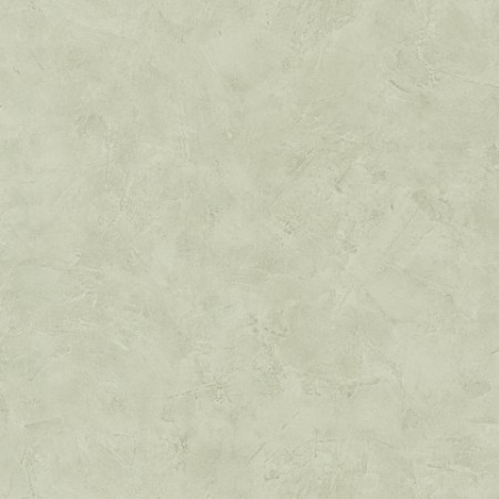 Picture of Patine Uni Vert Lichen Clair - PAI100227440