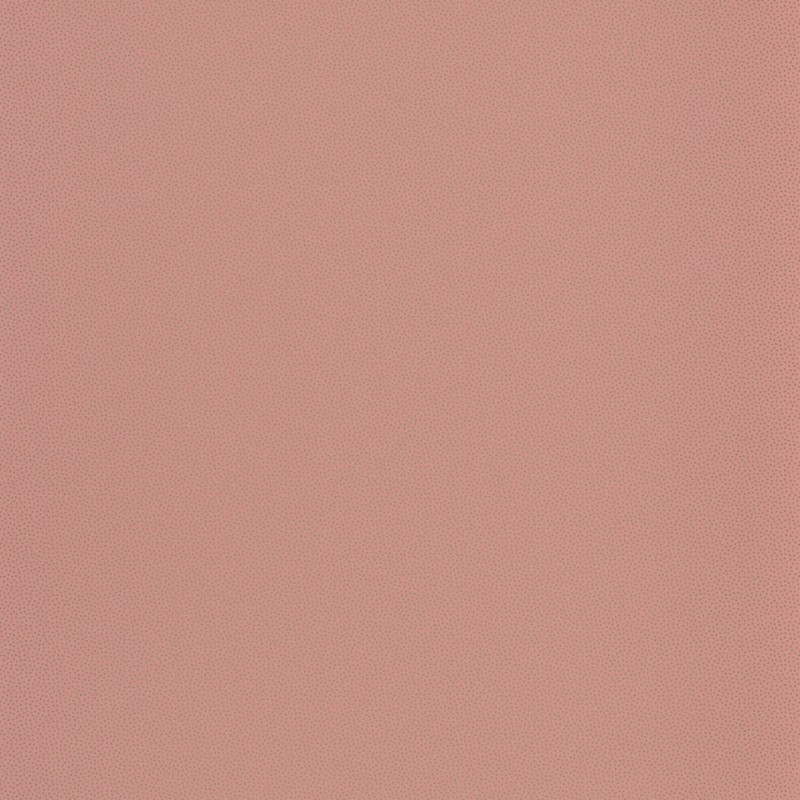 Afbeeldingen van Odyssee Goma Rose - OYS100404117