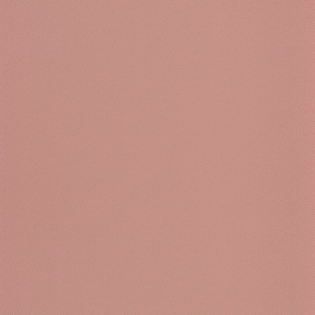 Picture of Odyssee Goma Rose - OYS100404117