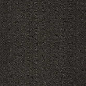 Picture of Odyssee Goma Noir Or - OYS100409027