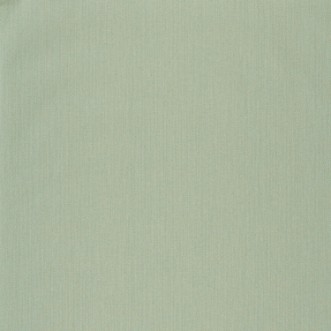 Afbeeldingen van Uni Natte Metallises Vert Amande Dore - NAE101577099