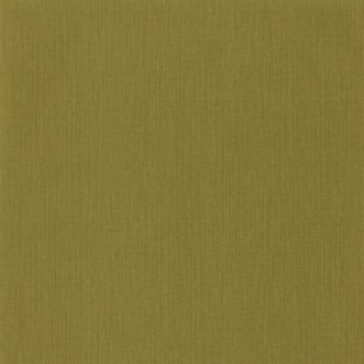 Afbeeldingen van Uni Natte Vert Olive - NAE101567700