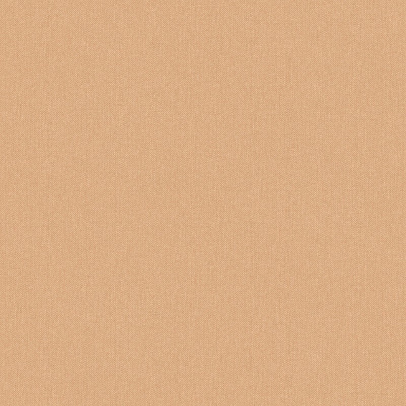 Image de Chevron Uni Argile Rose - CVR102223042