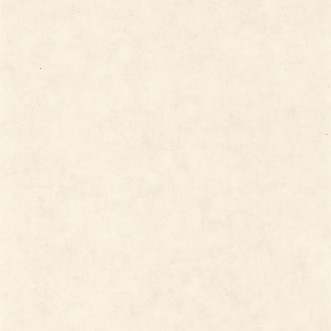 Picture of Beton Uni Blanc Beige - BET101480010