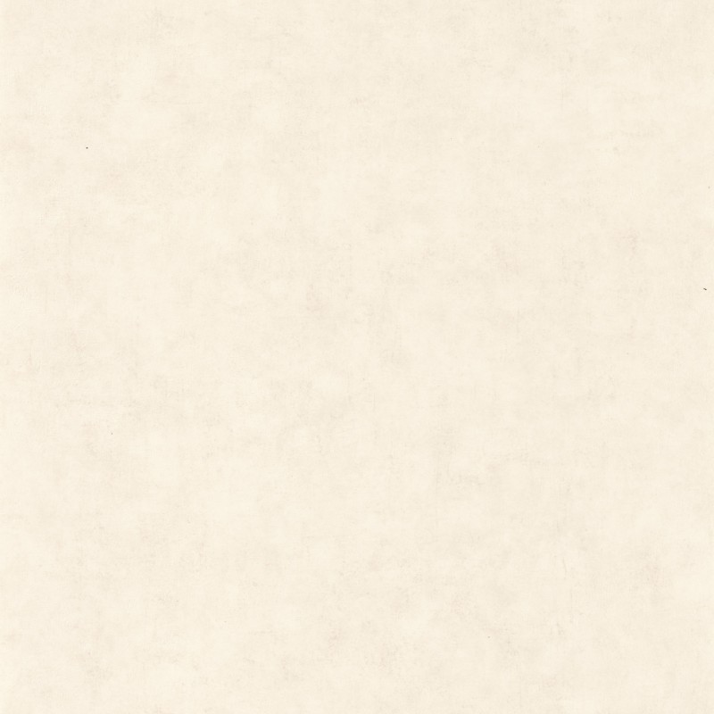 Picture of Beton Uni Blanc Beige - BET101480010