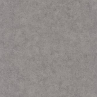 Picture of Beton Uni Gris Beton Brut - BET101489600