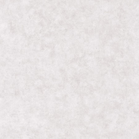 Picture of Beton Uni Gris Beton Clair - BET101489301