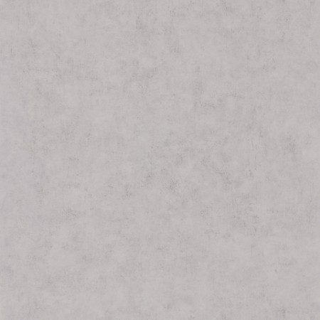 Picture of Beton Uni Gris Beton Moyen - BET101489460