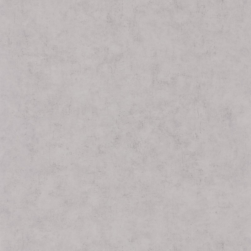 Picture of Beton Uni Gris Beton Moyen - BET101489460