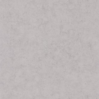 Picture of Beton Uni Gris Beton Moyen - BET101489460