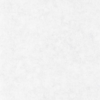 Picture of Beton Uni Gris Clair - BET101489000