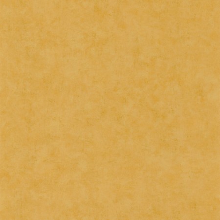 Picture of Beton Uni Miel Dore Clair - BET101482000